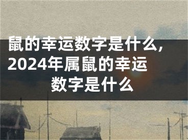 鼠的幸运数字是什么,2024年属鼠的幸运数字是什么