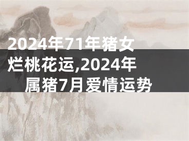 2024年71年猪女烂桃花运,2024年属猪7月爱情运势