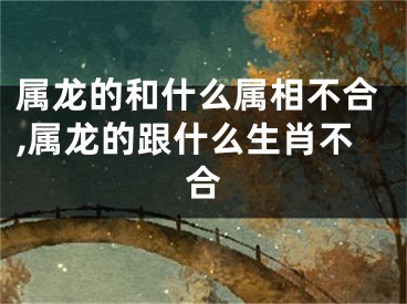 属龙的和什么属相不合,属龙的跟什么生肖不合
