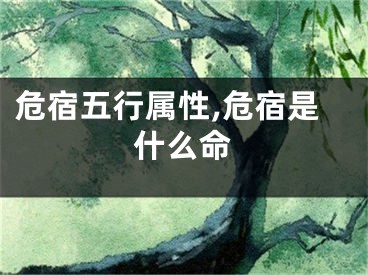 危宿五行属性,危宿是什么命
