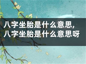 八字坐胎是什么意思,八字坐胎是什么意思呀