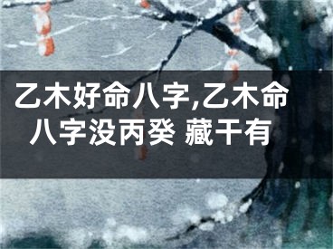 乙木好命八字,乙木命八字没丙癸 藏干有
