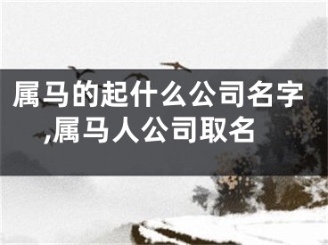 属马的起什么公司名字,属马人公司取名