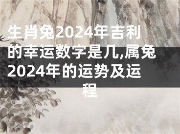 生肖兔2024年吉利的幸运数字是几,属兔2024年的运势及运程