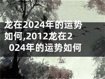 龙在2024年的运势如何,2012龙在2024年的运势如何