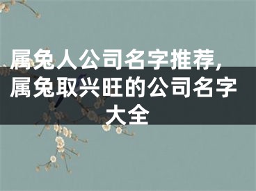 属兔人公司名字推荐,属兔取兴旺的公司名字大全