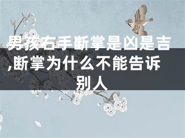 男孩右手断掌是凶是吉,断掌为什么不能告诉别人