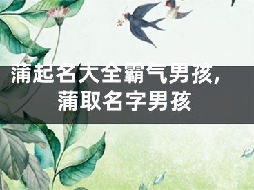 蒲起名大全霸气男孩,蒲取名字男孩