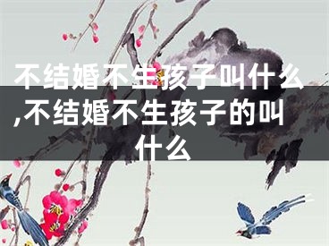 不结婚不生孩子叫什么,不结婚不生孩子的叫什么