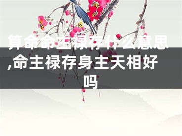 算命命主禄存什么意思,命主禄存身主天相好吗