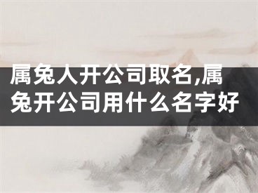 属兔人开公司取名,属兔开公司用什么名字好