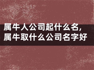 属牛人公司起什么名,属牛取什么公司名字好