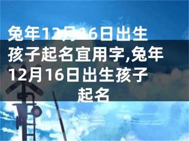 兔年12月16日出生孩子起名宜用字,兔年12月16日出生孩子起名