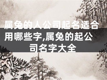 属兔的人公司起名适合用哪些字,属兔的起公司名字大全