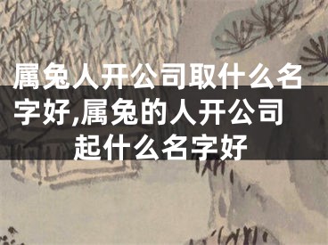 属兔人开公司取什么名字好,属兔的人开公司起什么名字好