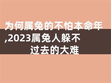 为何属兔的不怕本命年,2023属兔人躲不过去的大难