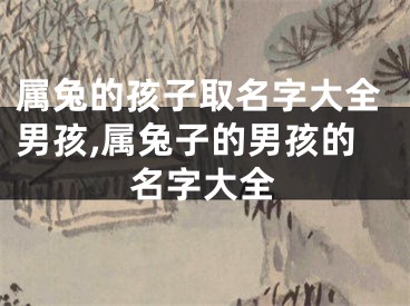 属兔的孩子取名字大全男孩,属兔子的男孩的名字大全