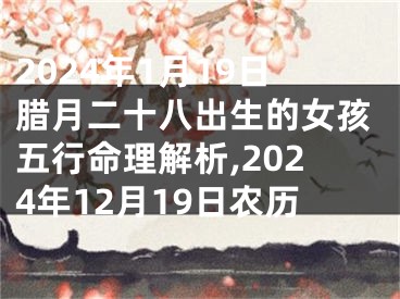 2024年1月19日腊月二十八出生的女孩五行命理解析,2024年12月19日农历