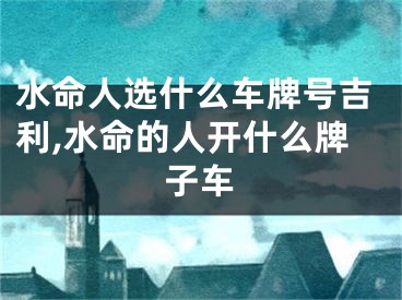 水命人选什么车牌号吉利,水命的人开什么牌子车