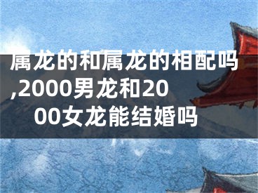 属龙的和属龙的相配吗,2000男龙和2000女龙能结婚吗