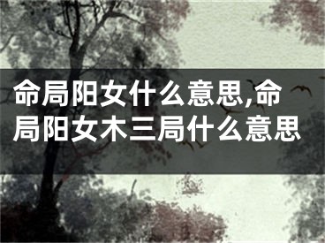 命局阳女什么意思,命局阳女木三局什么意思