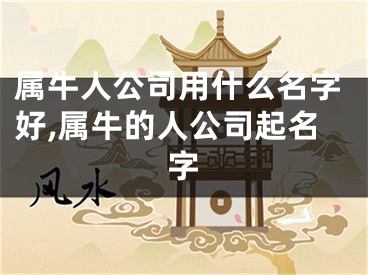属牛人公司用什么名字好,属牛的人公司起名字