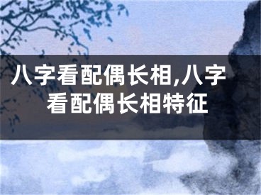 八字看配偶长相,八字看配偶长相特征