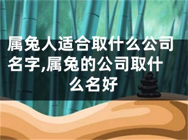 属兔人适合取什么公司名字,属兔的公司取什么名好