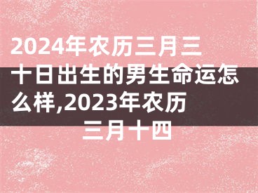 2024年农历三月三十日出生的男生命运怎么样,2023年农历三月十四