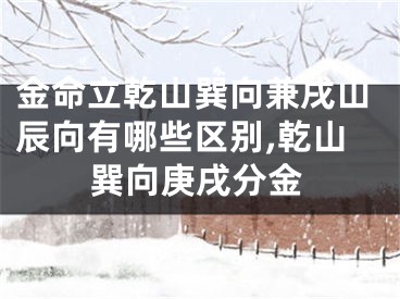 金命立乾山巽向兼戌山辰向有哪些区别,乾山巽向庚戌分金