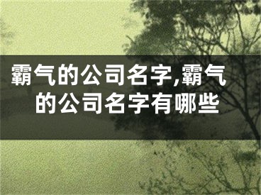 霸气的公司名字,霸气的公司名字有哪些
