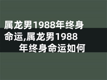 属龙男1988年终身命运,属龙男1988年终身命运如何