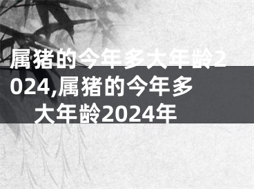 属猪的今年多大年龄2024,属猪的今年多大年龄2024年
