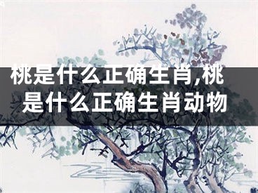 桃是什么正确生肖,桃是什么正确生肖动物