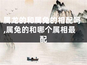 属龙的和属兔的相配吗,属兔的和哪个属相最配
