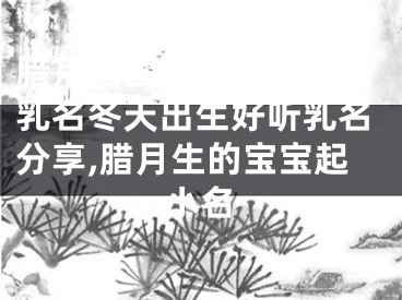 腊月出生的宝宝起什么乳名冬天出生好听乳名分享,腊月生的宝宝起小名