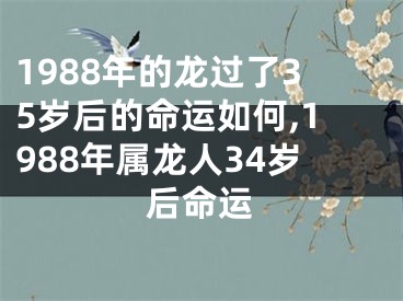 1988年的龙过了35岁后的命运如何,1988年属龙人34岁后命运