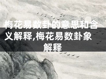 梅花易数卦的意思和含义解释,梅花易数卦象解释