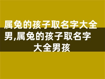 属兔的孩子取名字大全男,属兔的孩子取名字大全男孩