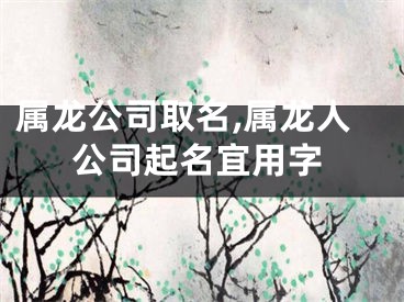 属龙公司取名,属龙人公司起名宜用字