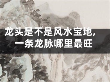 龙头是不是风水宝地,一条龙脉哪里最旺