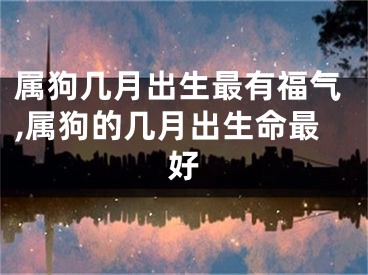 属狗几月出生最有福气,属狗的几月出生命最好