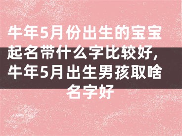牛年5月份出生的宝宝起名带什么字比较好,牛年5月出生男孩取啥名字好