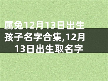 属兔12月13日出生孩子名字合集,12月13日出生取名字