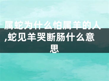 属蛇为什么怕属羊的人,蛇见羊哭断肠什么意思