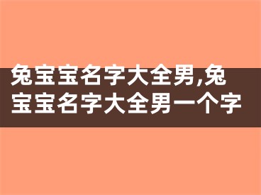 兔宝宝名字大全男,兔宝宝名字大全男一个字