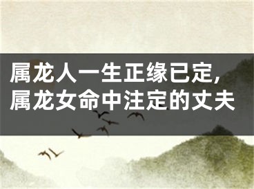 属龙人一生正缘已定,属龙女命中注定的丈夫