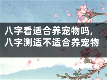 八字看适合养宠物吗,八字测适不适合养宠物