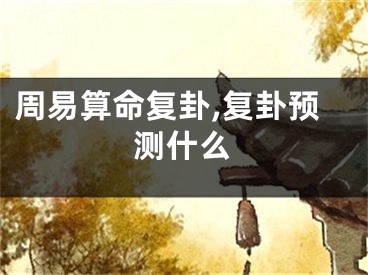 周易算命复卦,复卦预测什么