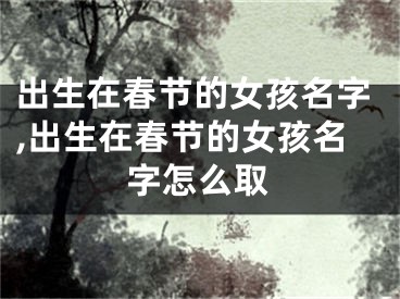 出生在春节的女孩名字,出生在春节的女孩名字怎么取